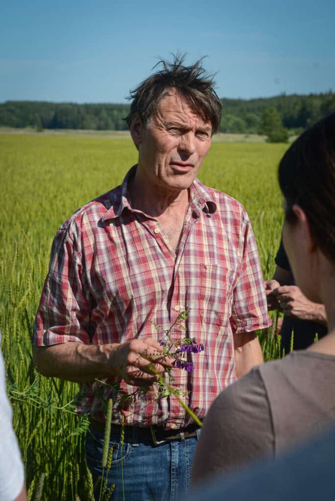 Thomas Björklund, Warbro Kvarn